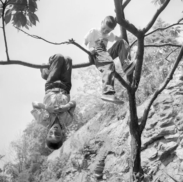 Dangerous things. 5 Dangerous things you should Let your Kids do. Out on a Limb: Clark Terry. Child Climbing Tree gif. Dangerous things. 5 Dangerous things you should Let your Kids do. Out on a Limb: Clark Terry. Child Climbing Tree gif.