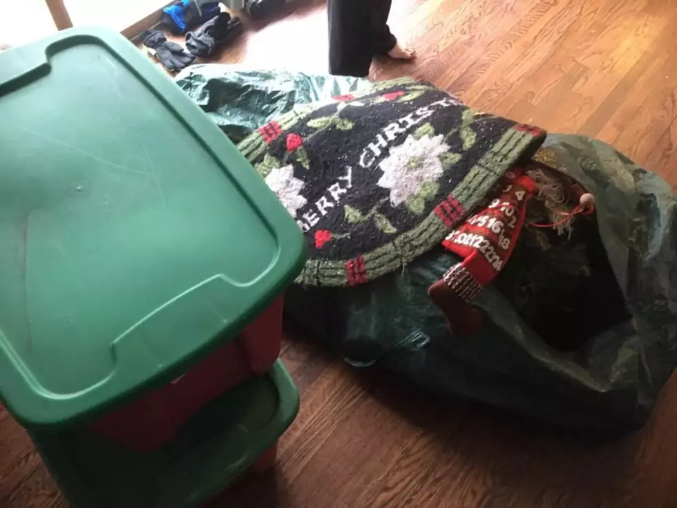 The Entire Holiday Fits in Two Boxes and a Bag