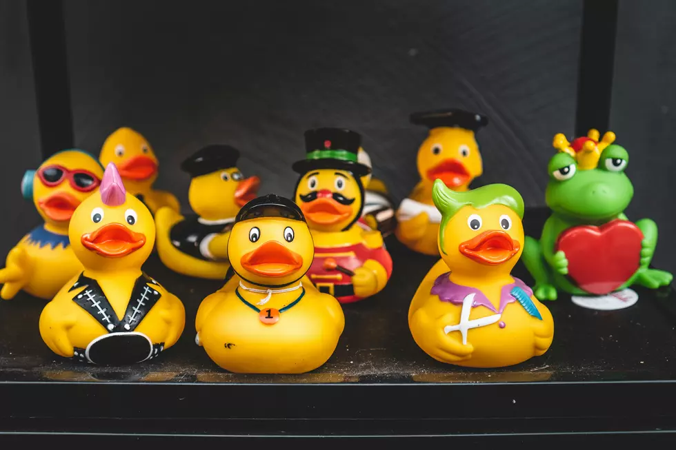 Connecticut’s Quirkiest Town Traditions: From Ducks to Boomboxes