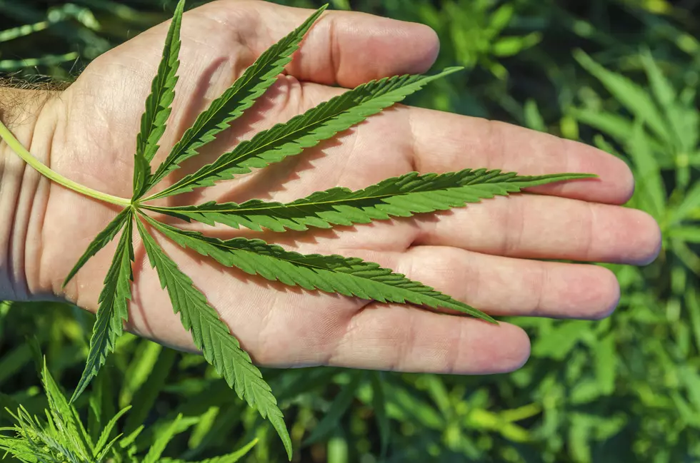 New York Could Be One Step Closer to Legal Marijuana